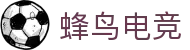 蜂鸟电竞-蜂鸟竞技官网-Fengniao Games